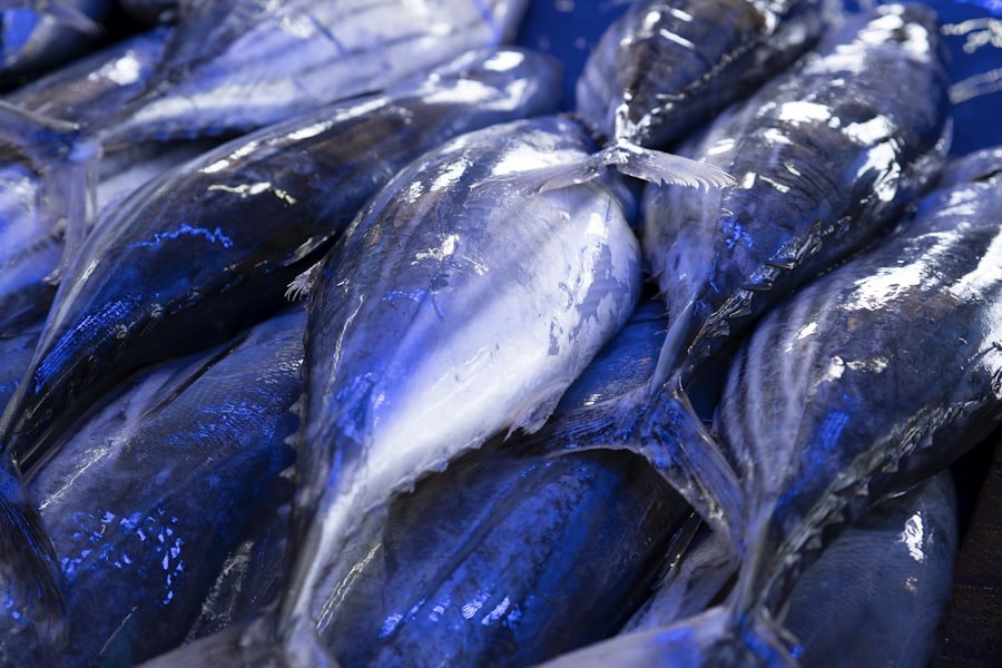 Fish market near Airport Gateway Residence in Negombo